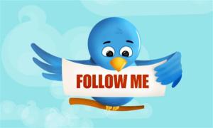 how to get thousands of twitter followers in 90 days